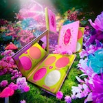 Fairytale Crush: Blush & Highlighter Set